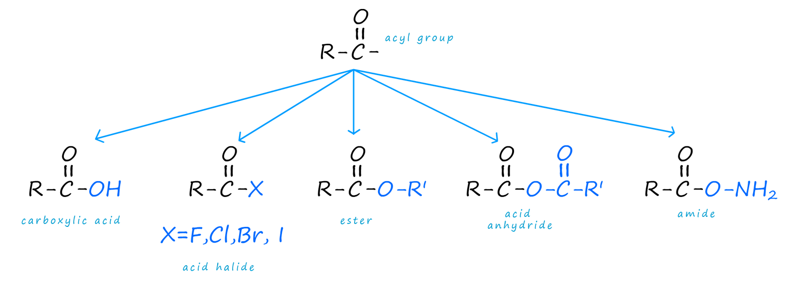 acyl derivatives